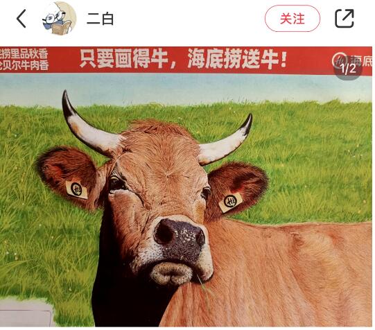 肉質画【牛】油彩画 高手在民间全网美术生都在火锅店里“画牛”